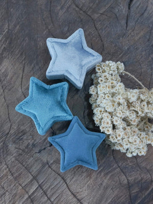 Velvet Star Ring Box - Gardens of the Sun | Ethical Jewelry