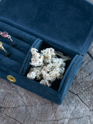 Velvet Travel Box - Gardens of the Sun | Ethical Jewelry