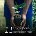 11 Jewelry Certifications You Need to Know Before You Buy
