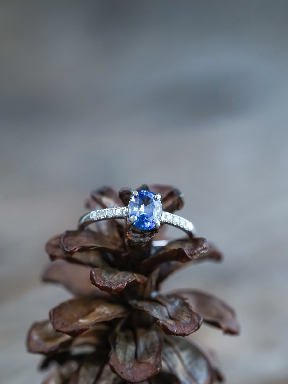 Bicolor Blue Sapphire Ring in White Gold - Ethical Jewelry | Gardens of the Sun