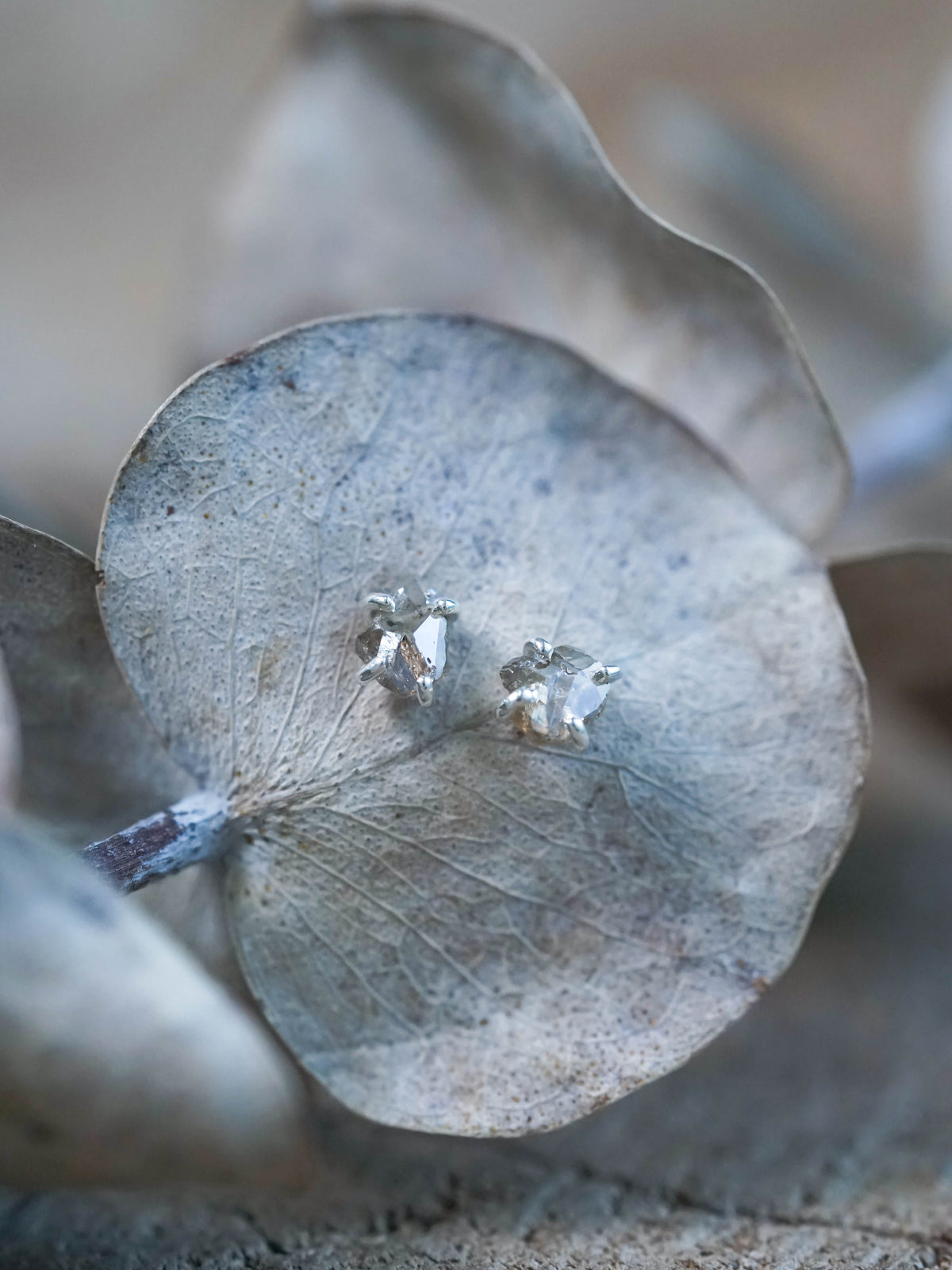 Brown Diamond Earrings in Silver