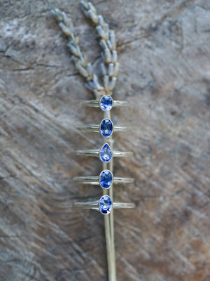 Cornflower Blue Sapphire Ring in Silver