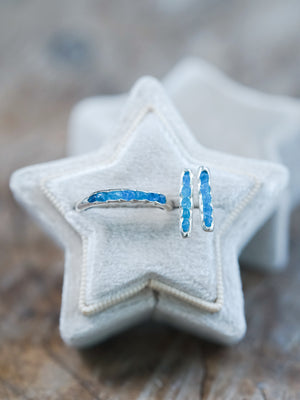 Blue Hauyne Earrings with Hidden Gems