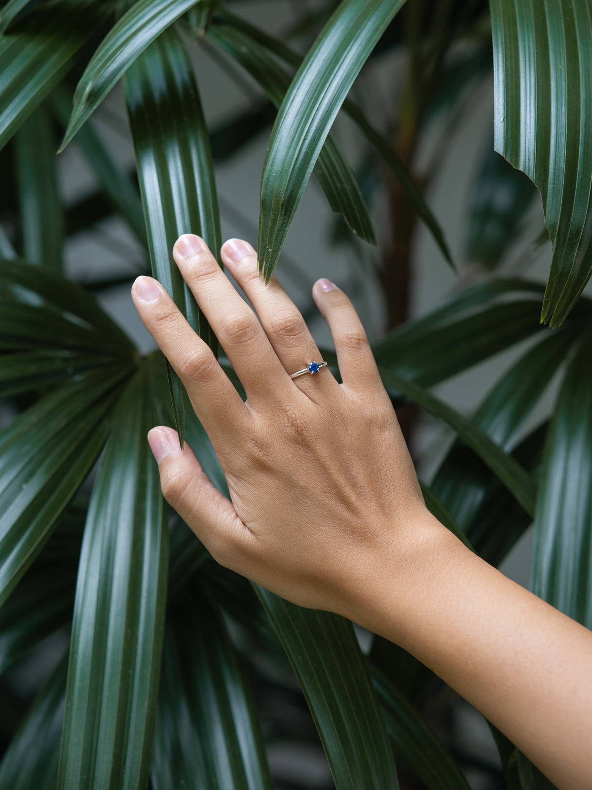 Blue Sapphire Ring in Silver - Gardens of the Sun | Ethical Jewelry