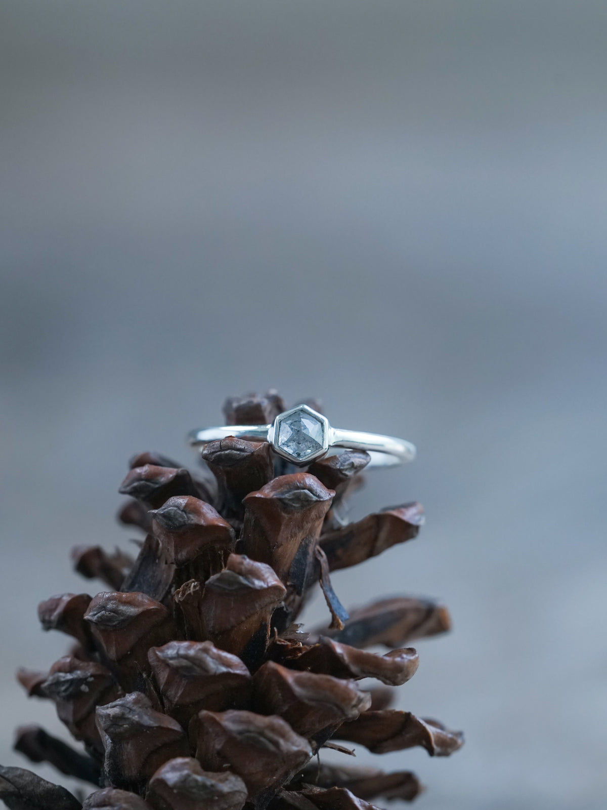Small Hexagon Salt and Pepper Diamond Ring - Gardens of the Sun | Ethical Jewelry