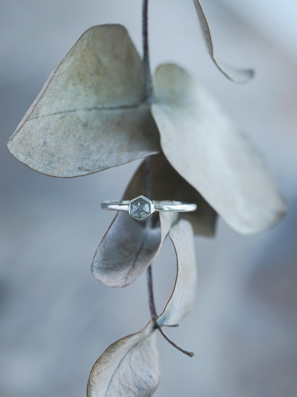 Small Hexagon Salt and Pepper Diamond Ring - Gardens of the Sun | Ethical Jewelry