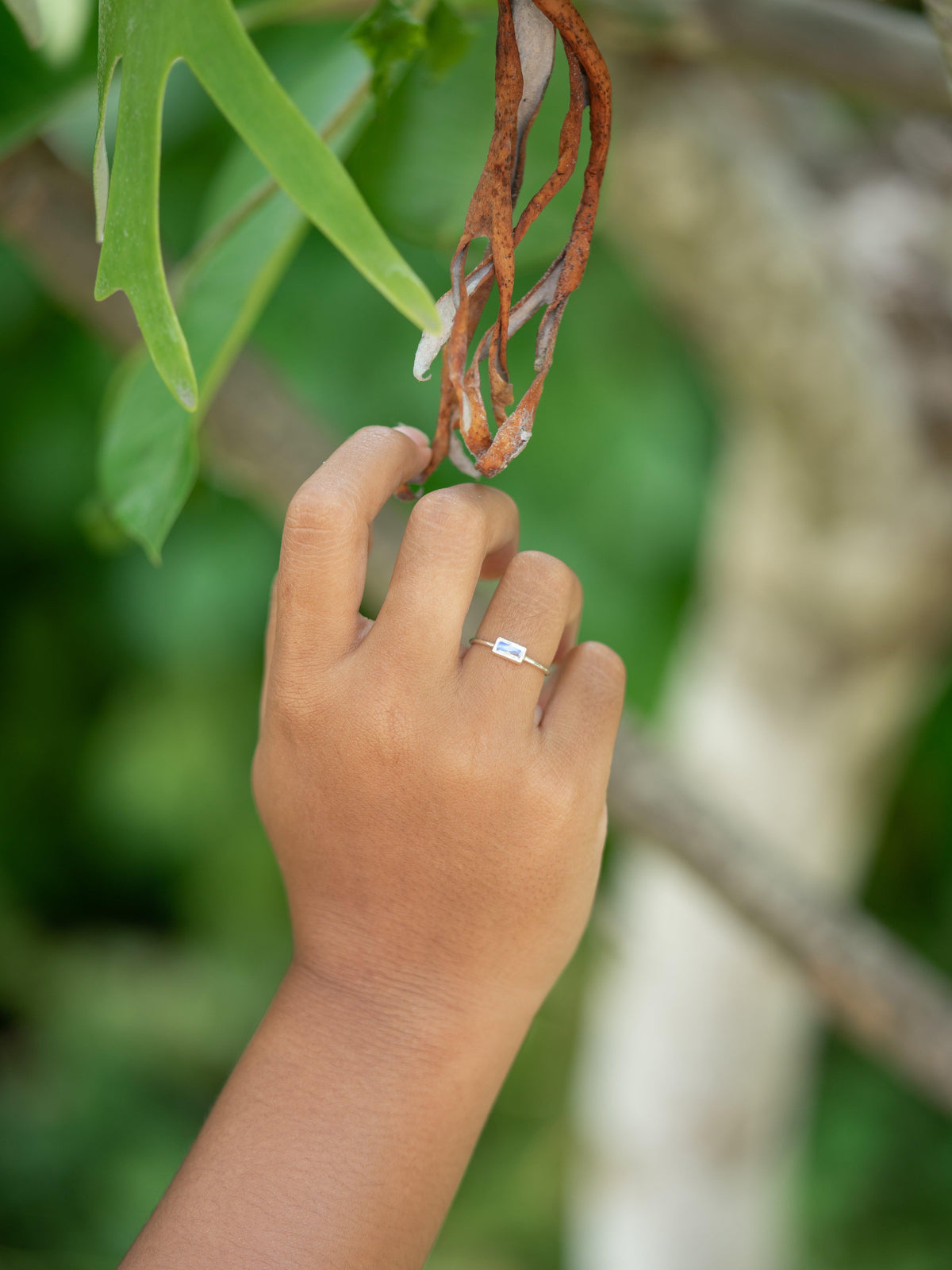 Horizontal Baguette Moonstone Ring - Gardens of the Sun | Ethical Jewelry