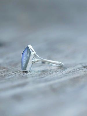 Labradorite Coffin Ring - Gardens of the Sun | Ethical Jewelry