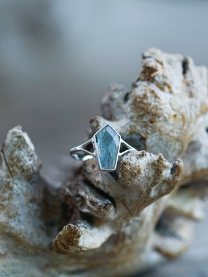  Labradorite Coffin Ring - Gardens of the Sun | Ethical Jewelry
