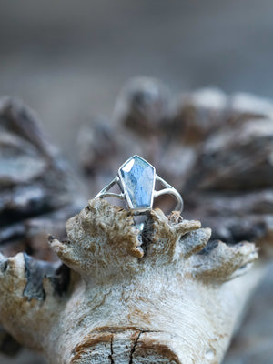 Labradorite Coffin Ring - Gardens of the Sun | Ethical Jewelry