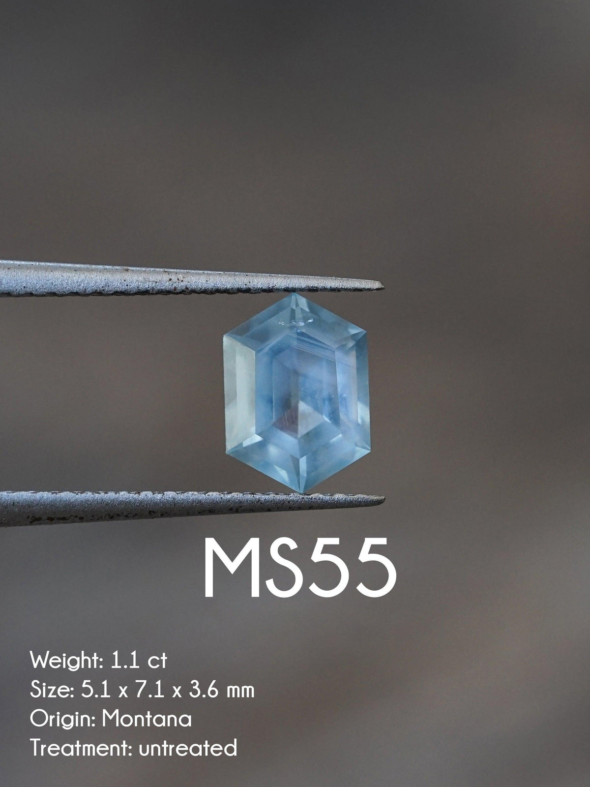 Custom Montana Sapphire Ring in Gold - Gardens of the Sun | Ethical Jewelry