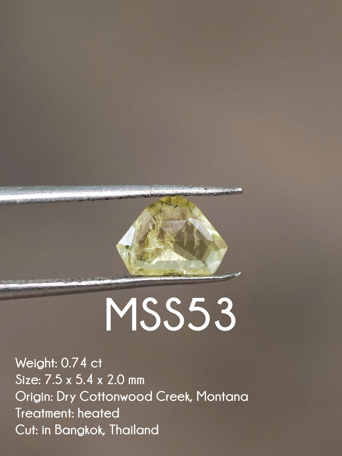 Custom Rose Cut Montana Sapphire Ring in Silver