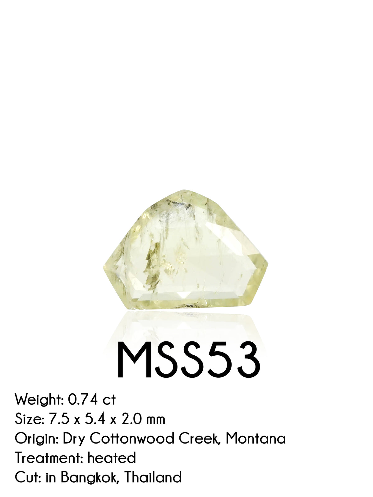 Custom Rose Cut Montana Sapphire Ring in Silver