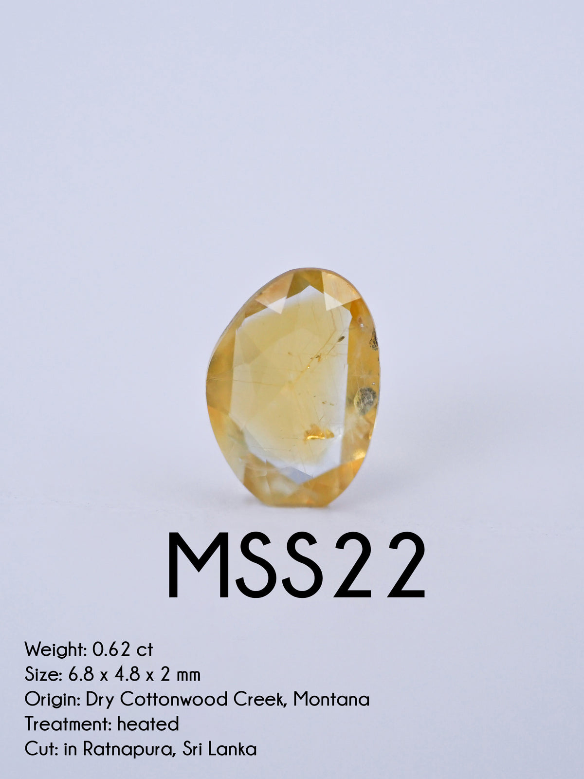 Custom Rose Cut Montana Sapphire Ring in Silver