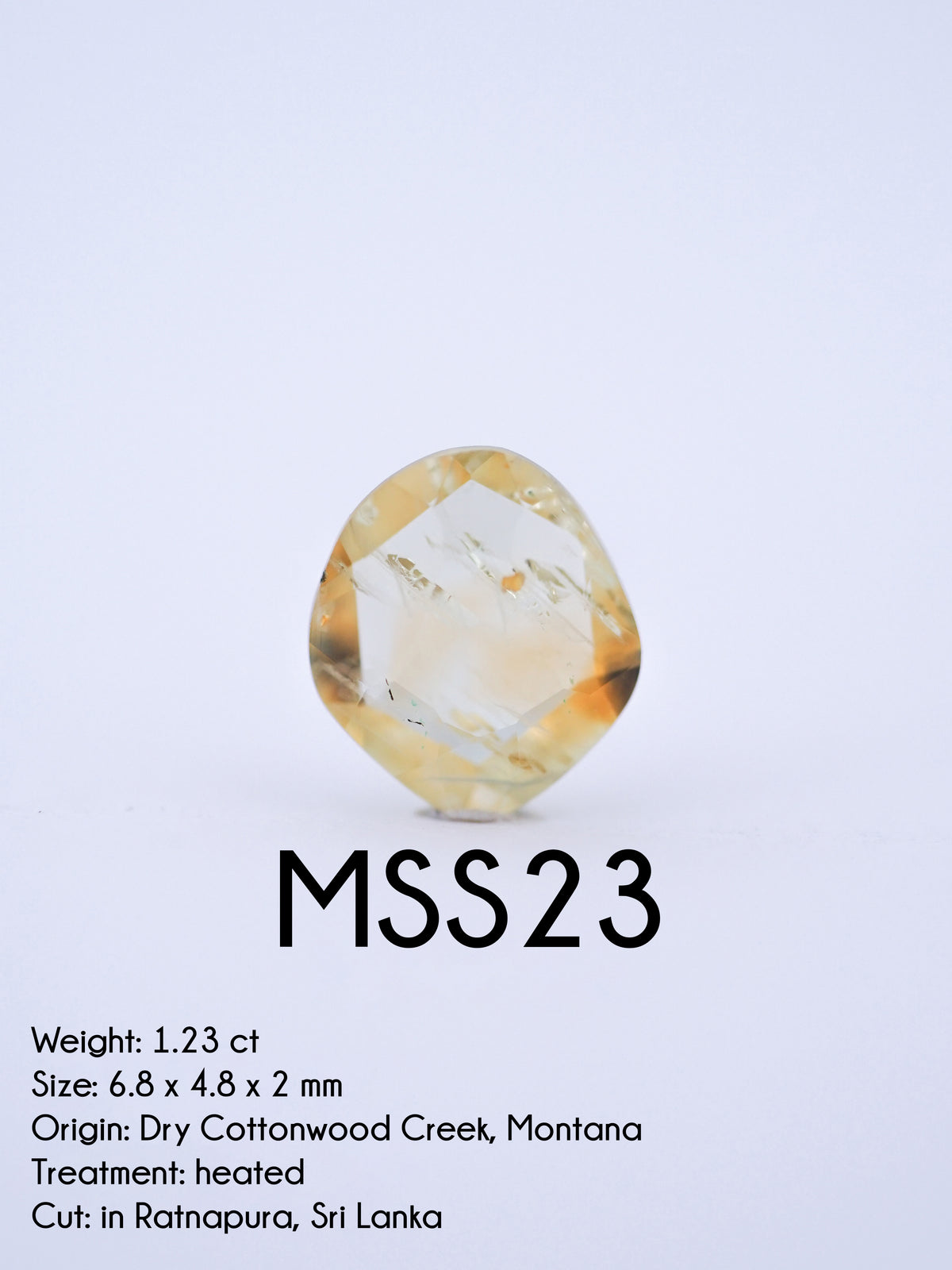 Custom Rose Cut Montana Sapphire Ring in Silver