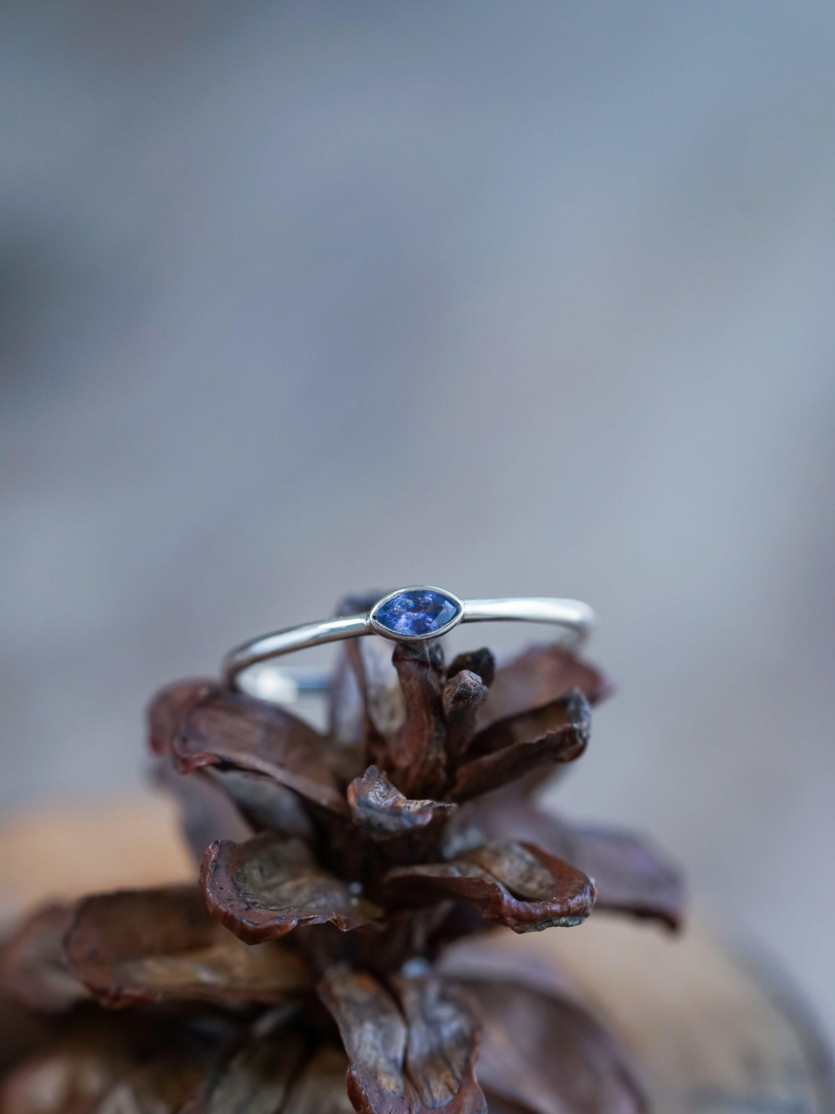 Marquise Montana Sapphire Ring - Gardens of the Sun | Ethical Jewelry