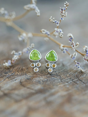 Peridot and Tourmaline Earrings in Silver