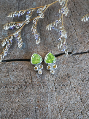 Peridot and Tourmaline Earrings in Sterling Silver