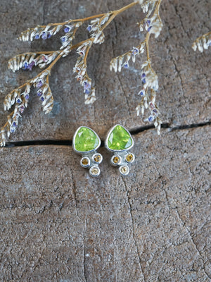 Peridot and Tourmaline Earrings