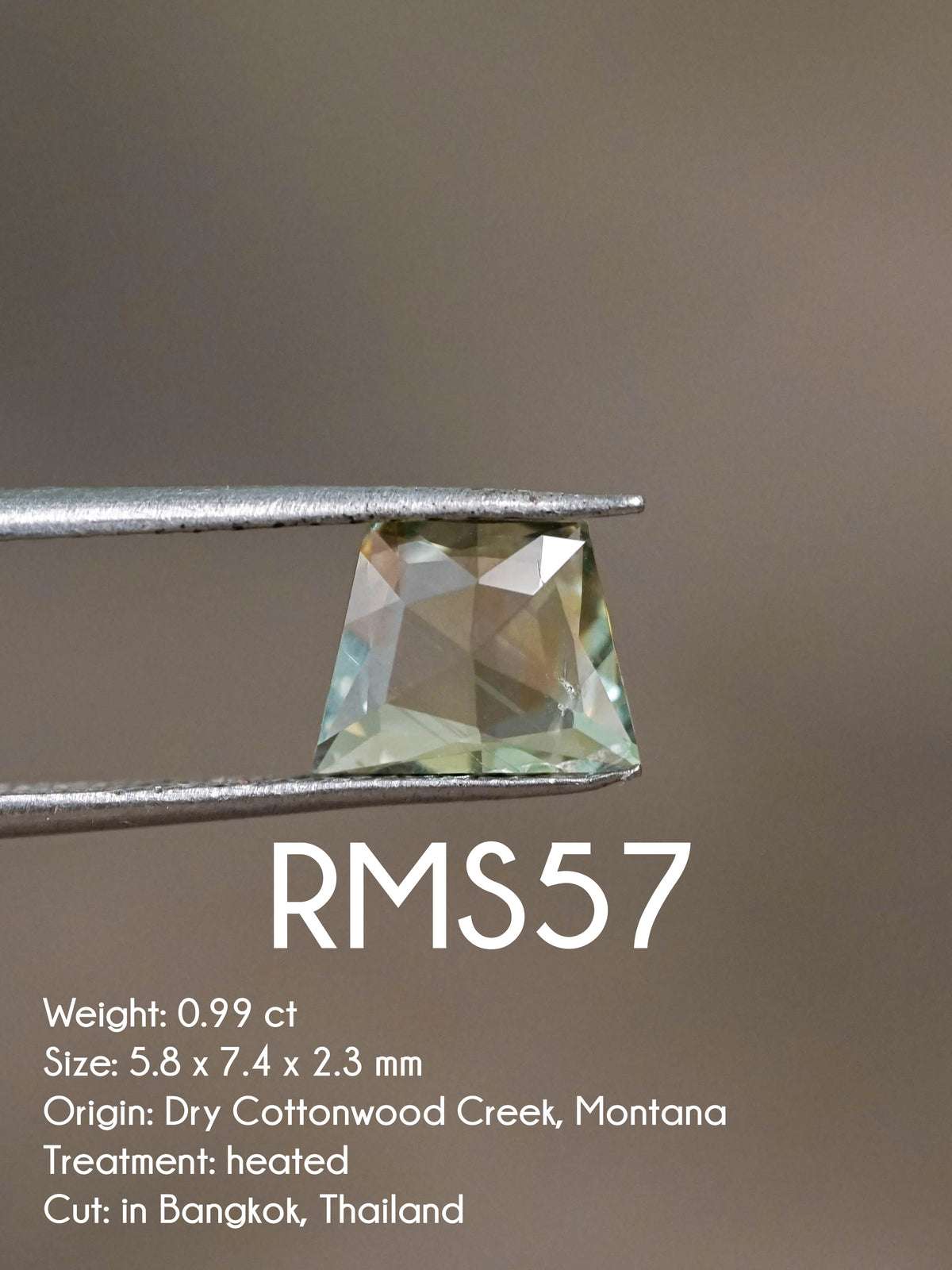 Custom Rose Cut Montana Sapphire Ring in Gold