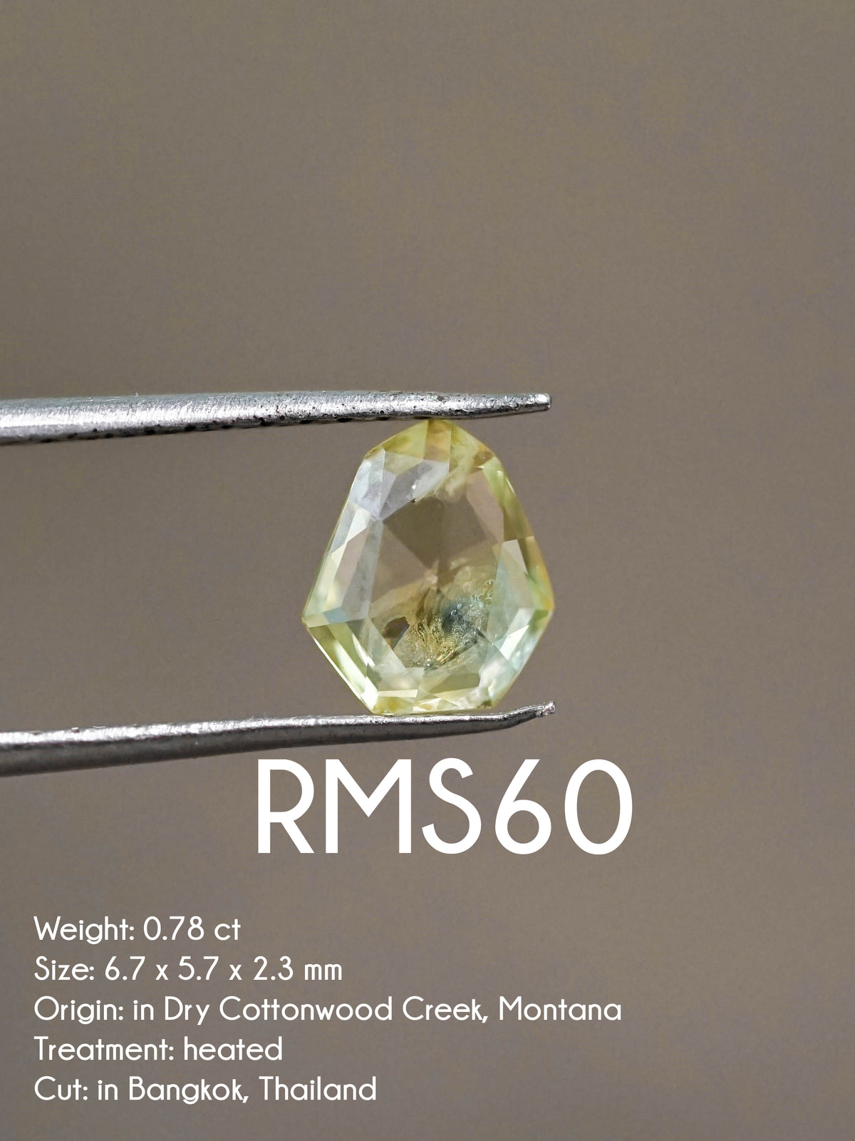 Custom Rose Cut Montana Sapphire Ring in Gold