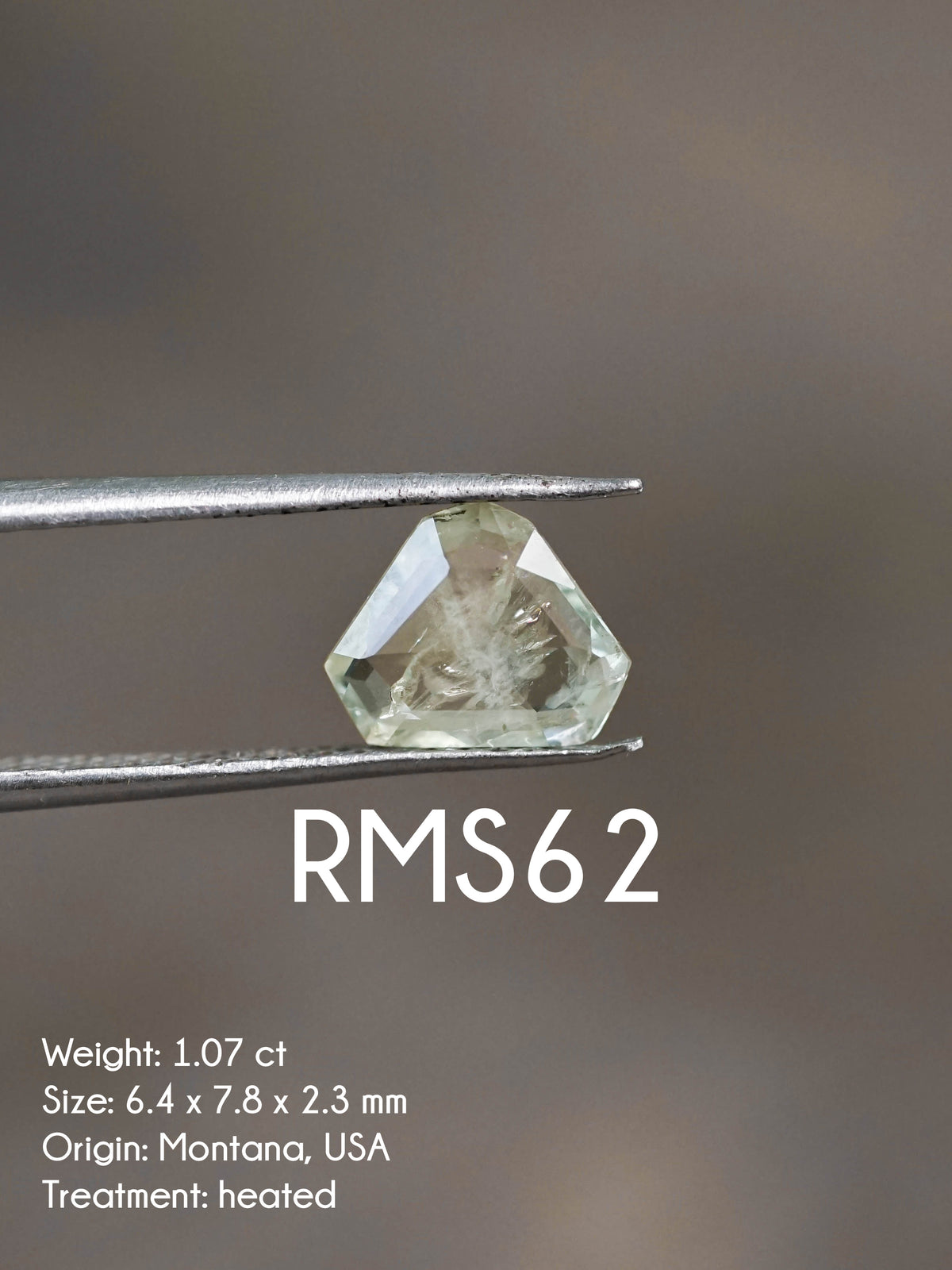 Custom Rose Cut Montana Sapphire Ring in Gold