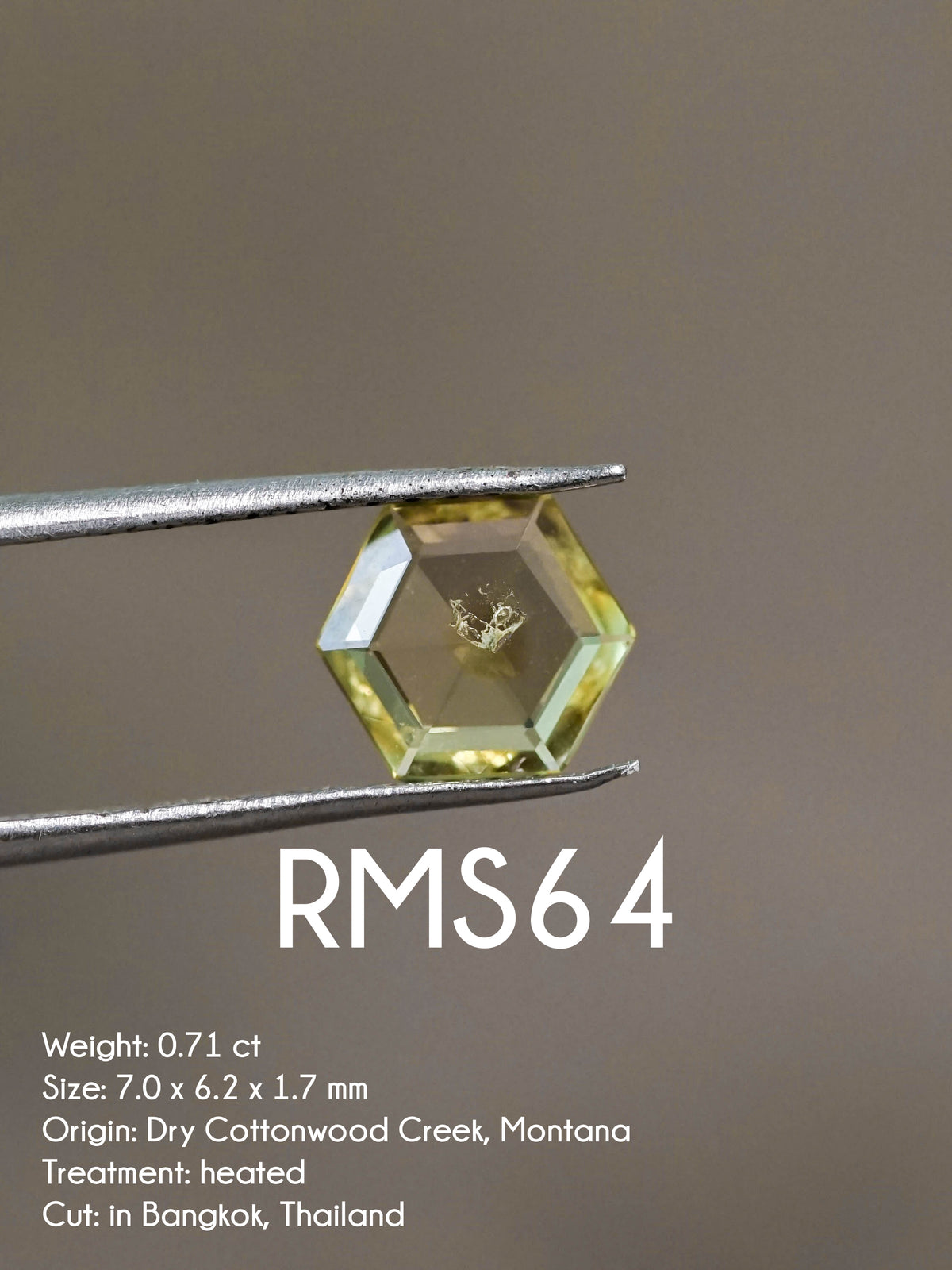 Custom Rose Cut Montana Sapphire Ring in Gold