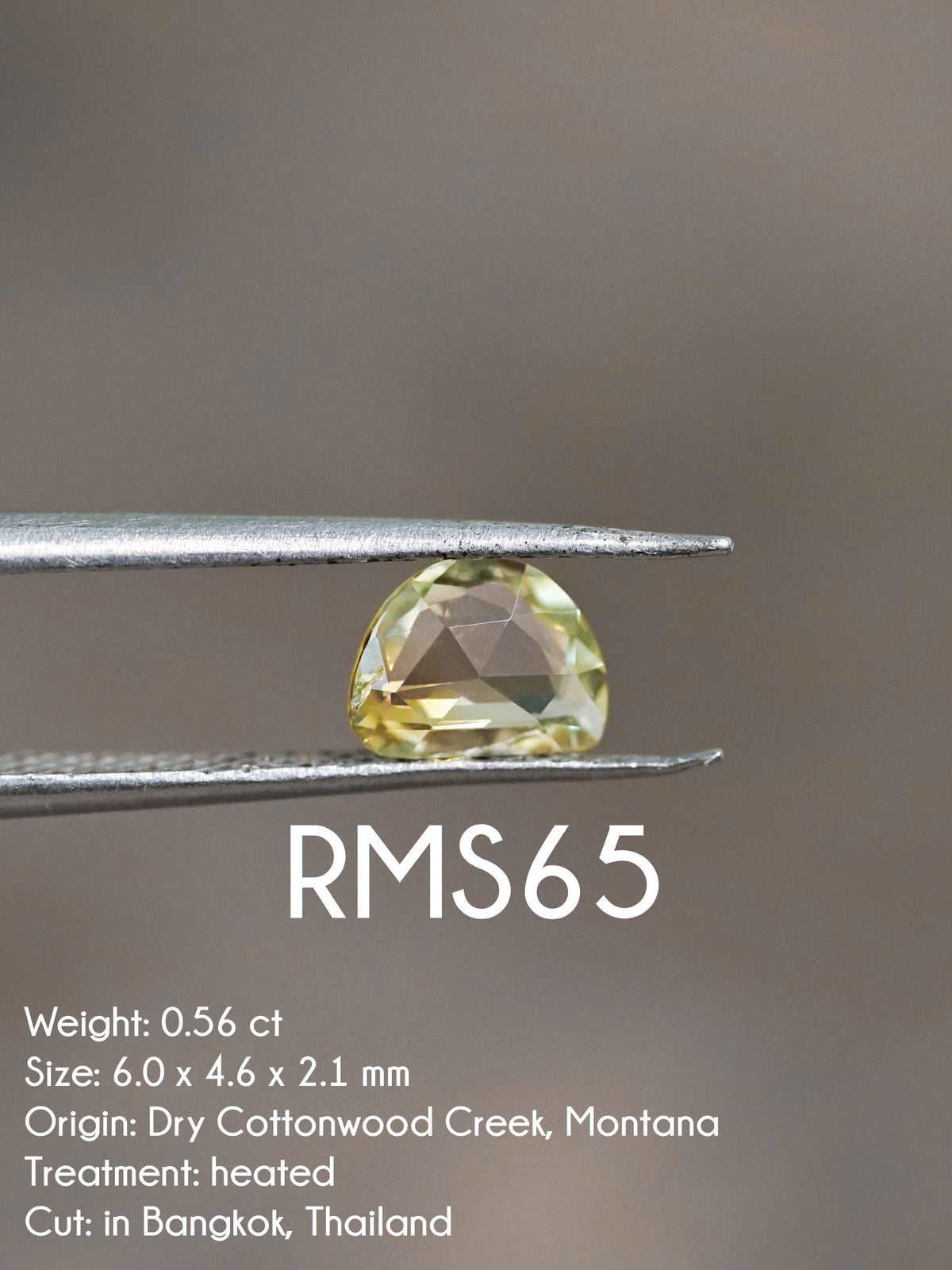 Custom Rose Cut Montana Sapphire Ring in Gold