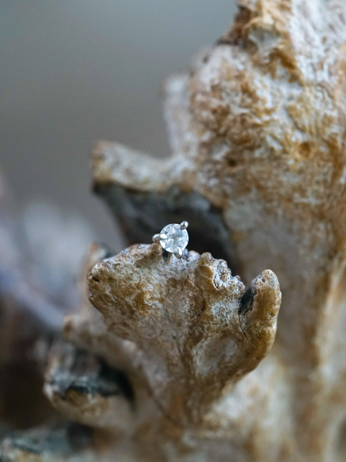 Rainbow Moonstone Earrings - Gardens of the Sun | Ethical Jewelry