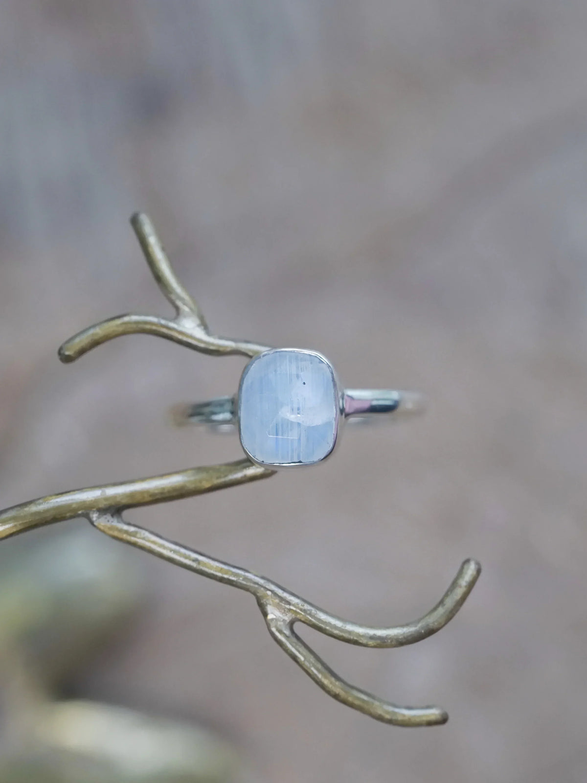 Rose Cut Moonstone Ring