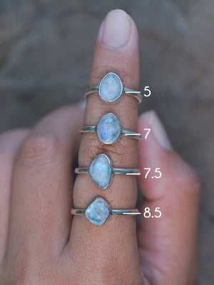 Rose Cut Moonstone Ring in Silver