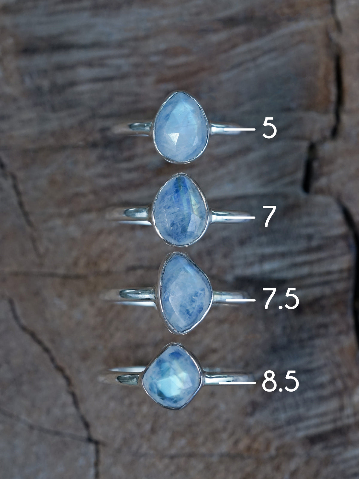 Rose Cut Moonstone Ring in Silver