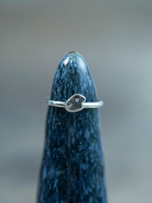 Silver Dino-Mite Diamond Slice Band Ring