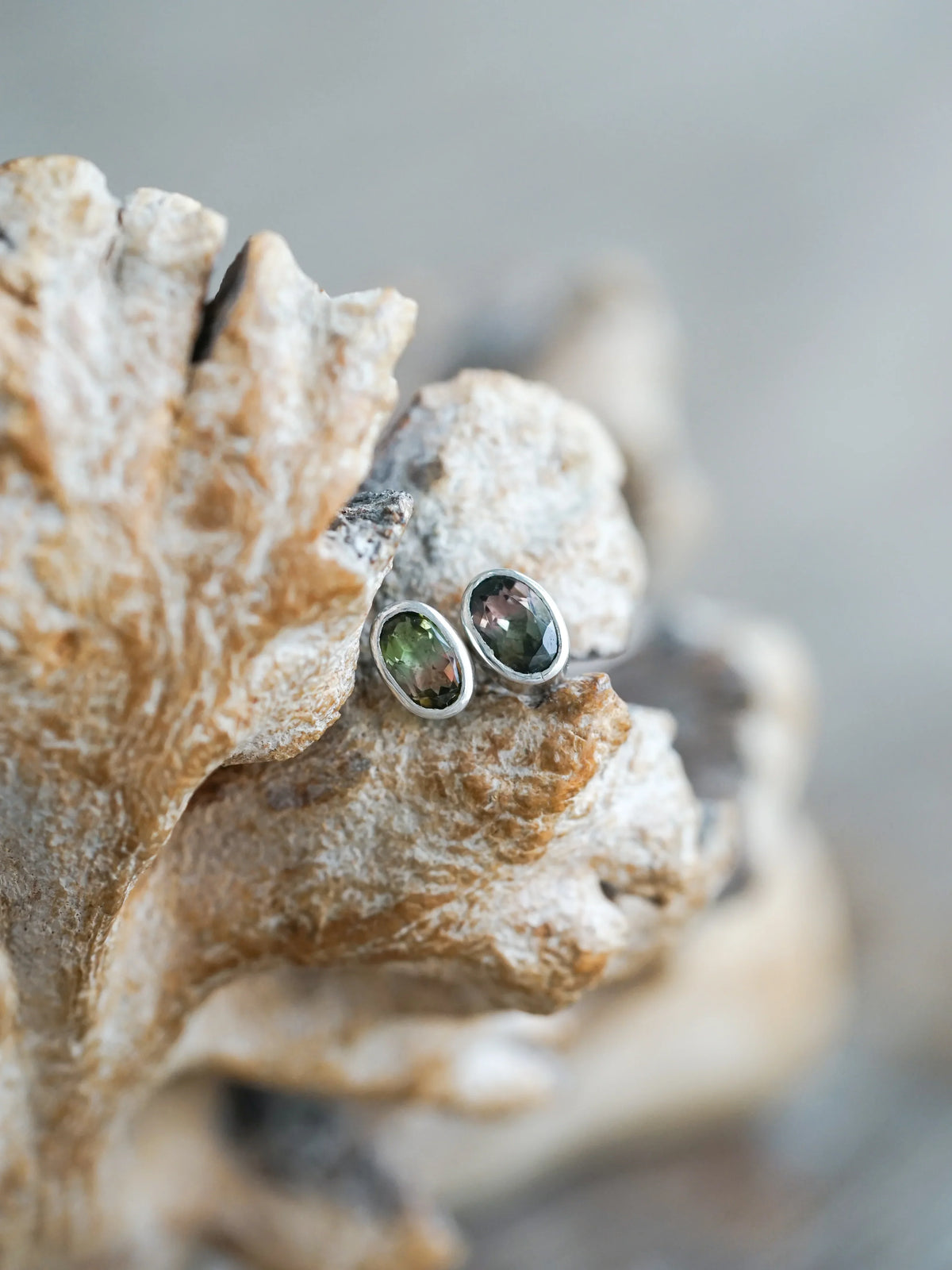 Watermelon Tourmaline Earrings in Silver