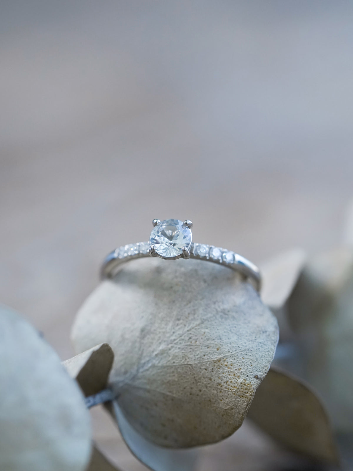 White Sapphire Ring in White Gold - Gardens of the Sun | Ethical Jewelry