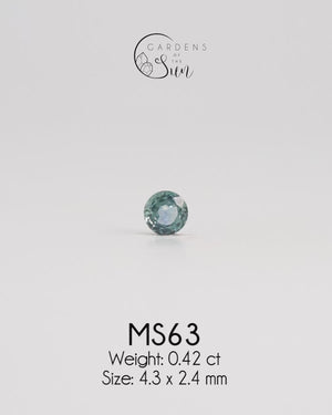 Custom Montana Sapphire Ring in Gold