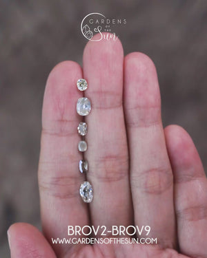 Custom Oval Diamond Ring in Gold