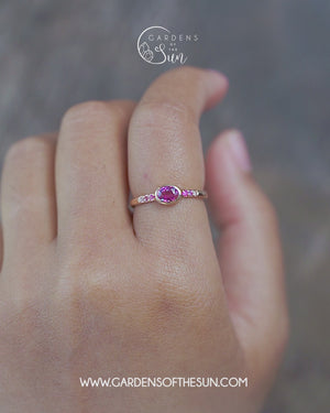 Ombre Pink Sapphire Ring in Rose Gold