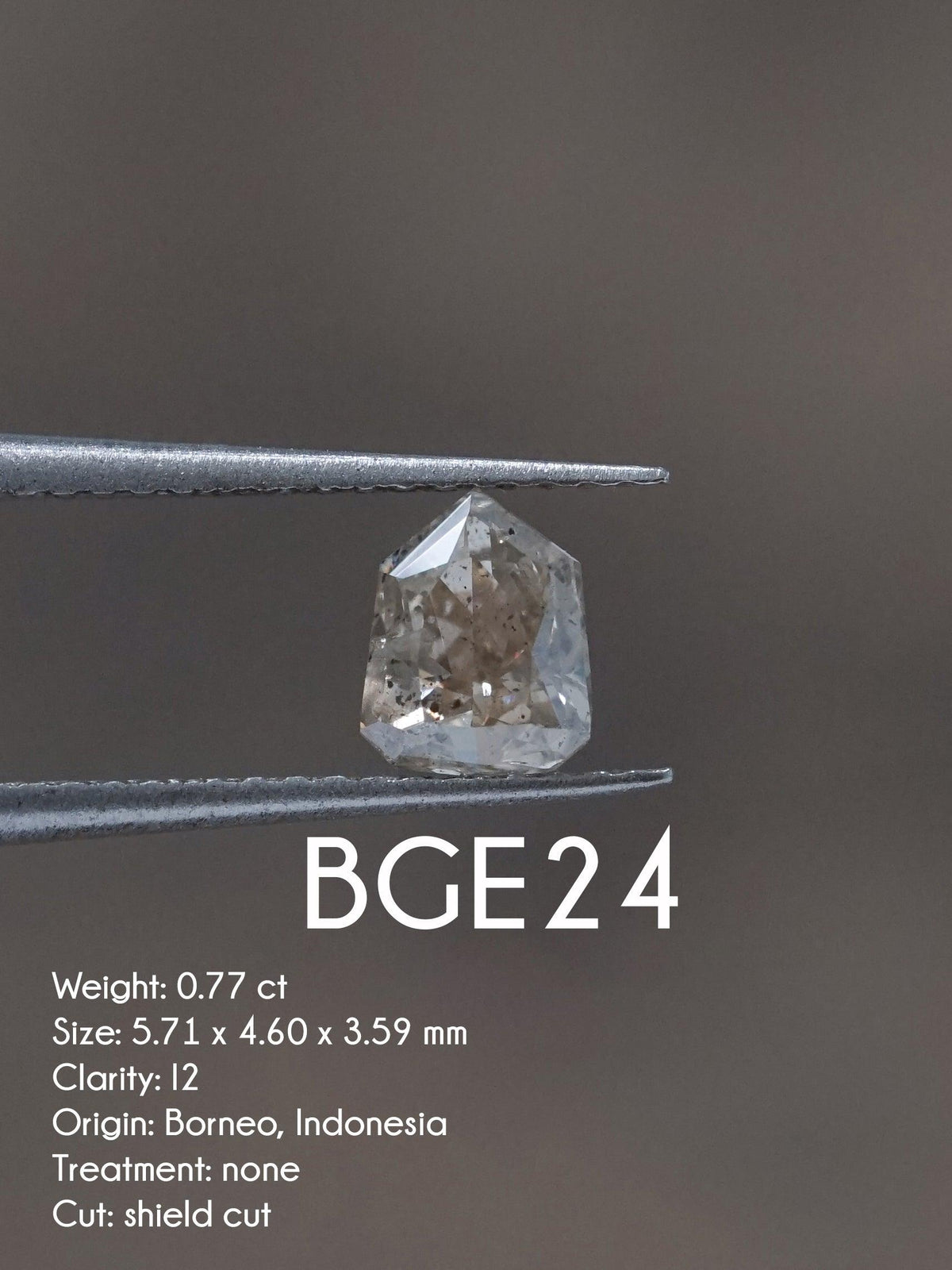 Custom Shield Diamond Ring - Gardens of the Sun | Ethical Jewelry