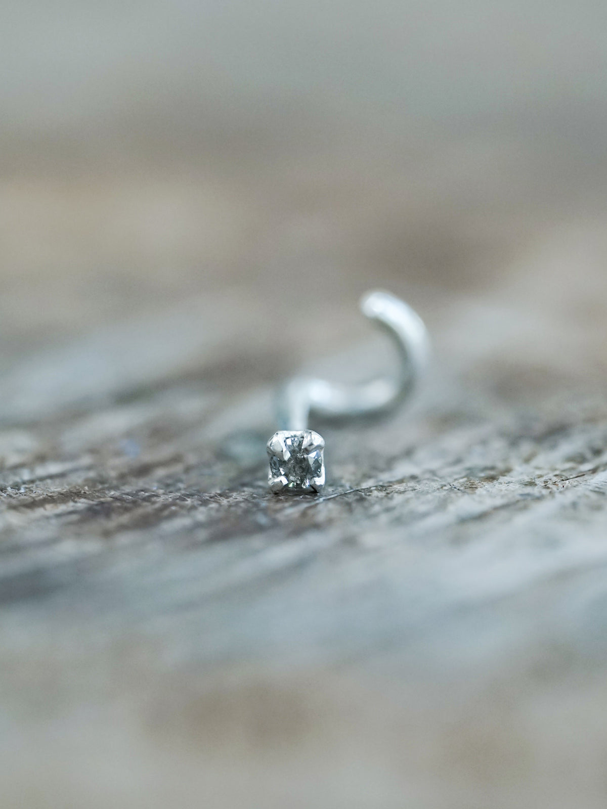 Salt and Pepper Tragus Stud Earring - Gardens of the Sun | Ethical Jewelry