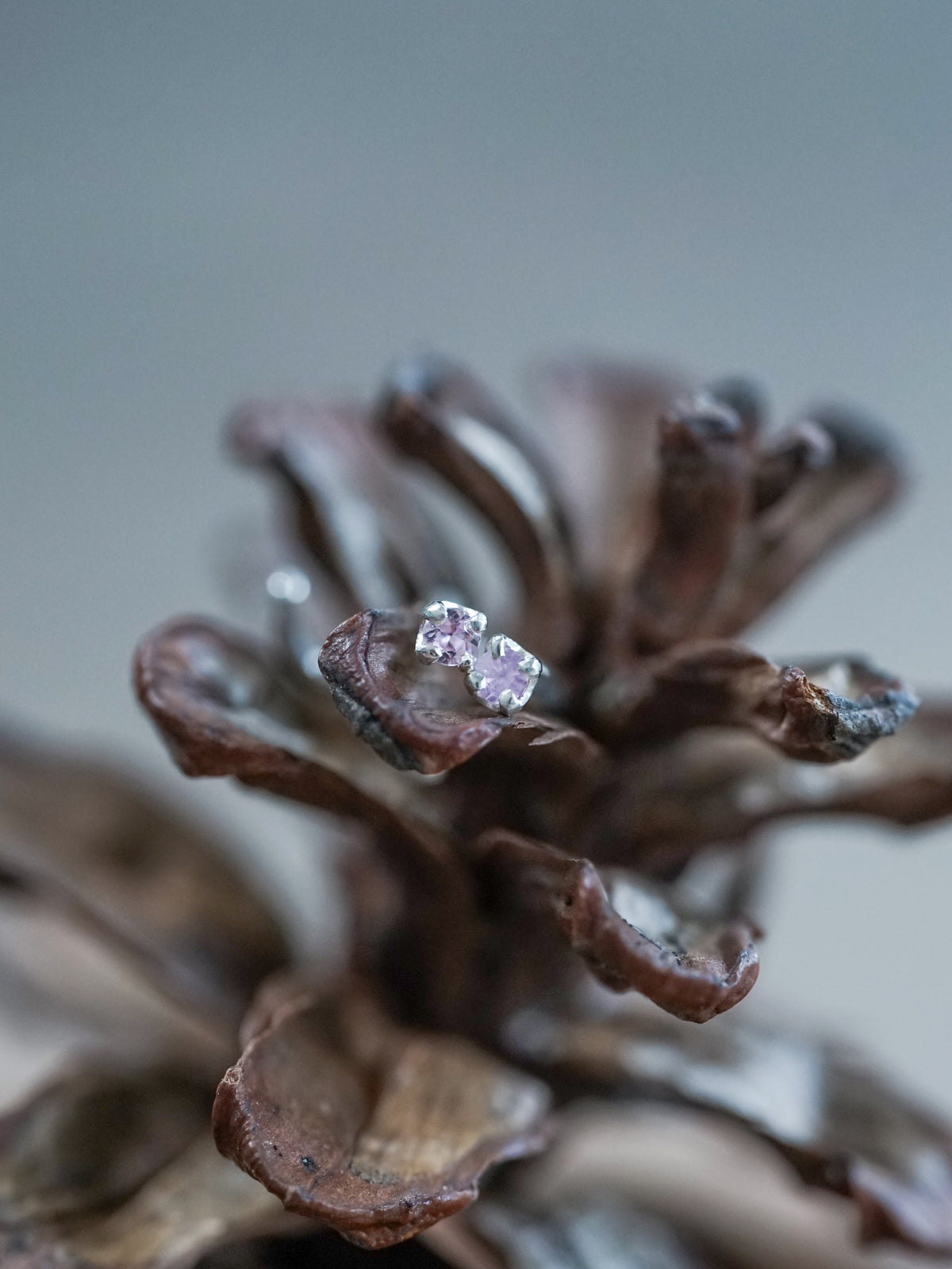 Pink Sapphire Tragus Stud Earring - Gardens of the Sun | Ethical Jewelry