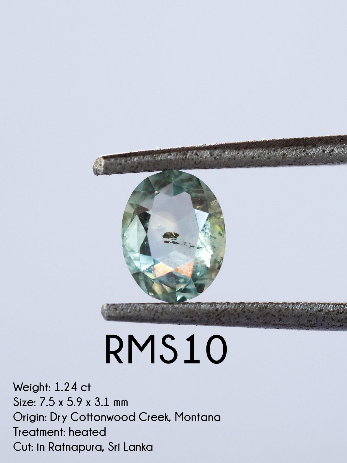 Custom Rose Cut Montana Sapphire Ring in Gold - Gardens of the Sun | Ethical Jewelry