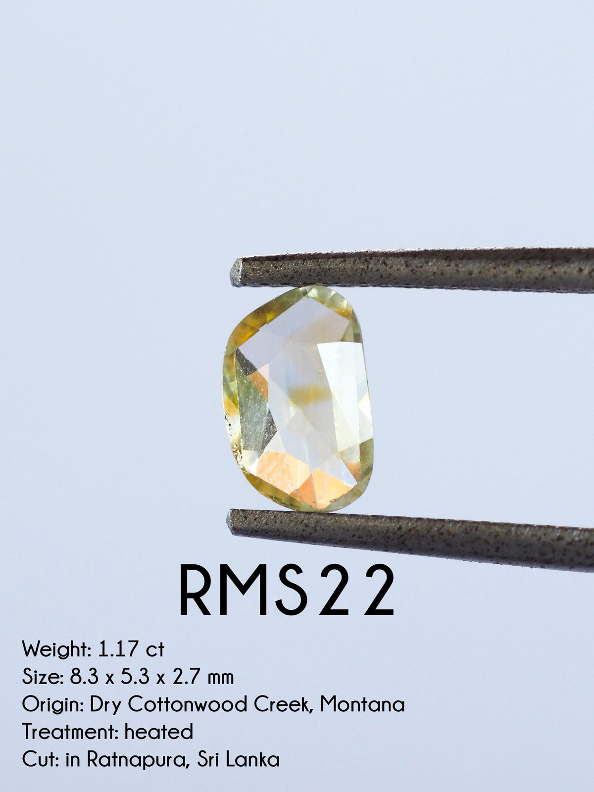 Custom Rose Cut Montana Sapphire Ring in Gold - Gardens of the Sun | Ethical Jewelry