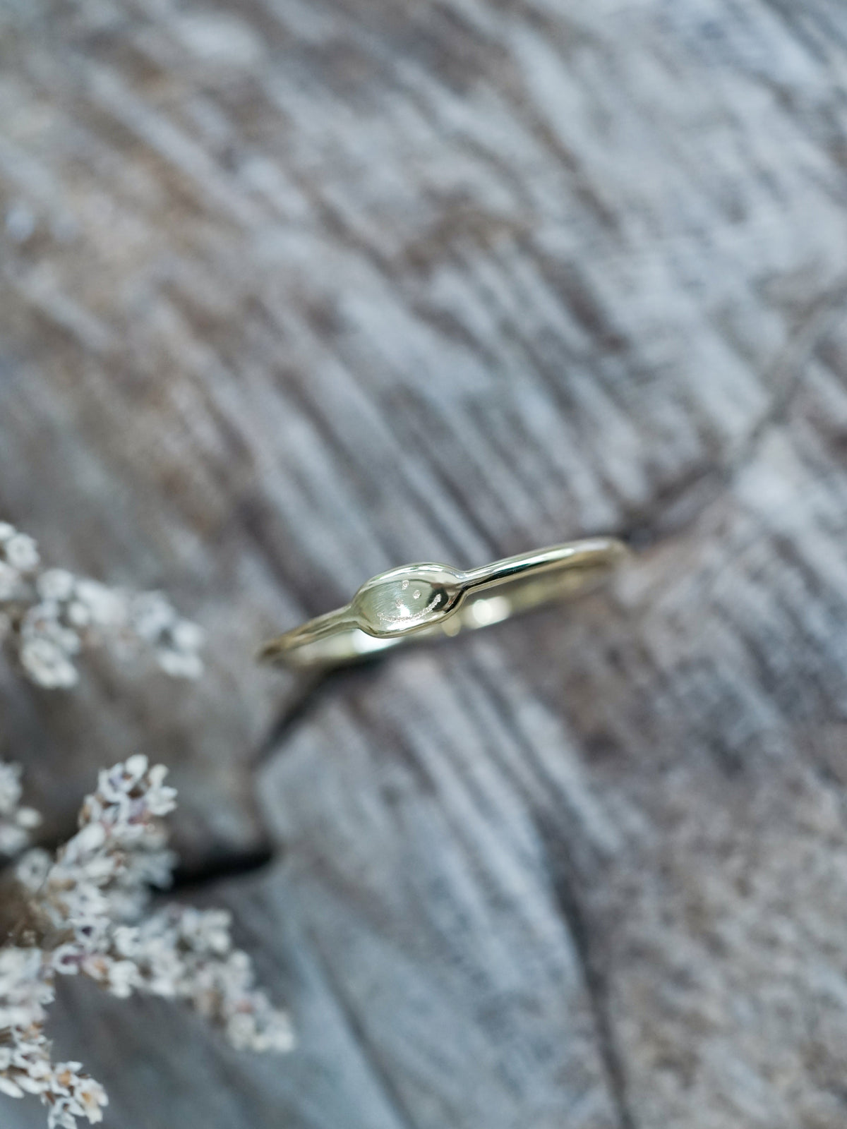 Dainty Signet Ring - Gardens of the Sun | Ethical Jewelry