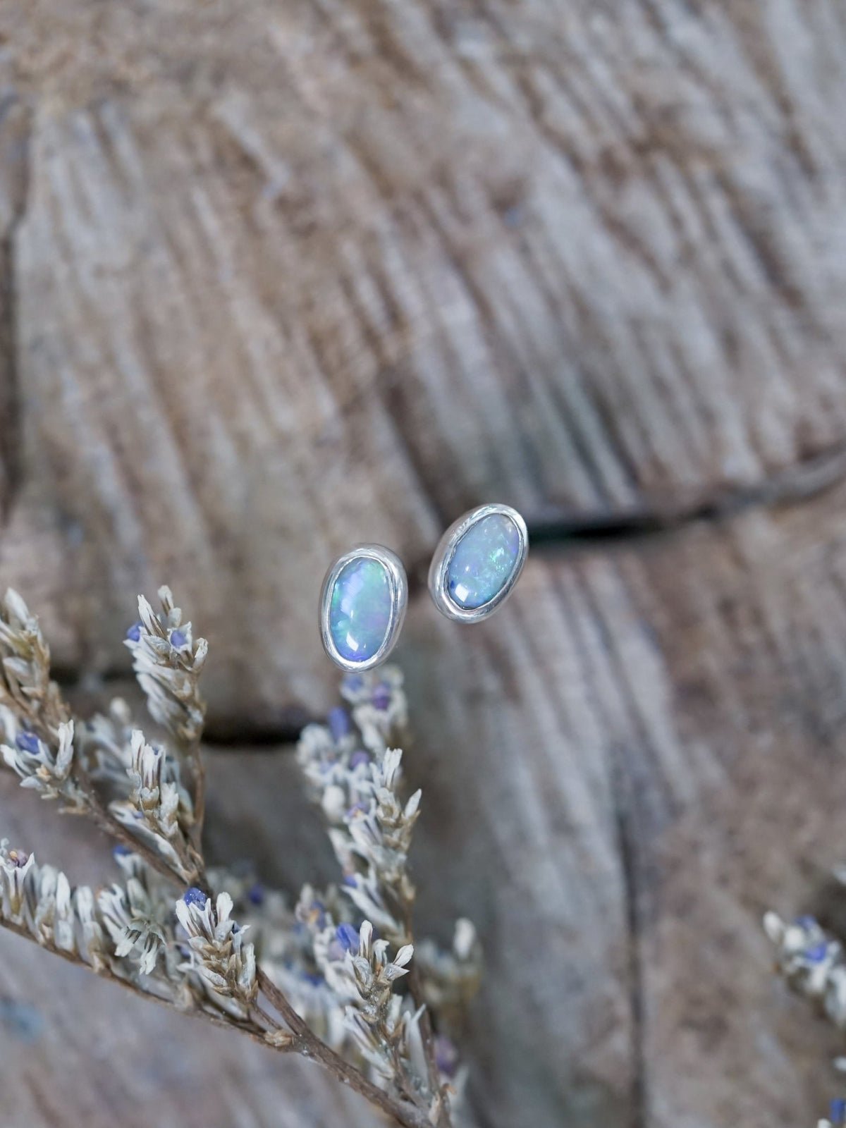 Pride Earrings - Pride Jewelry Collection