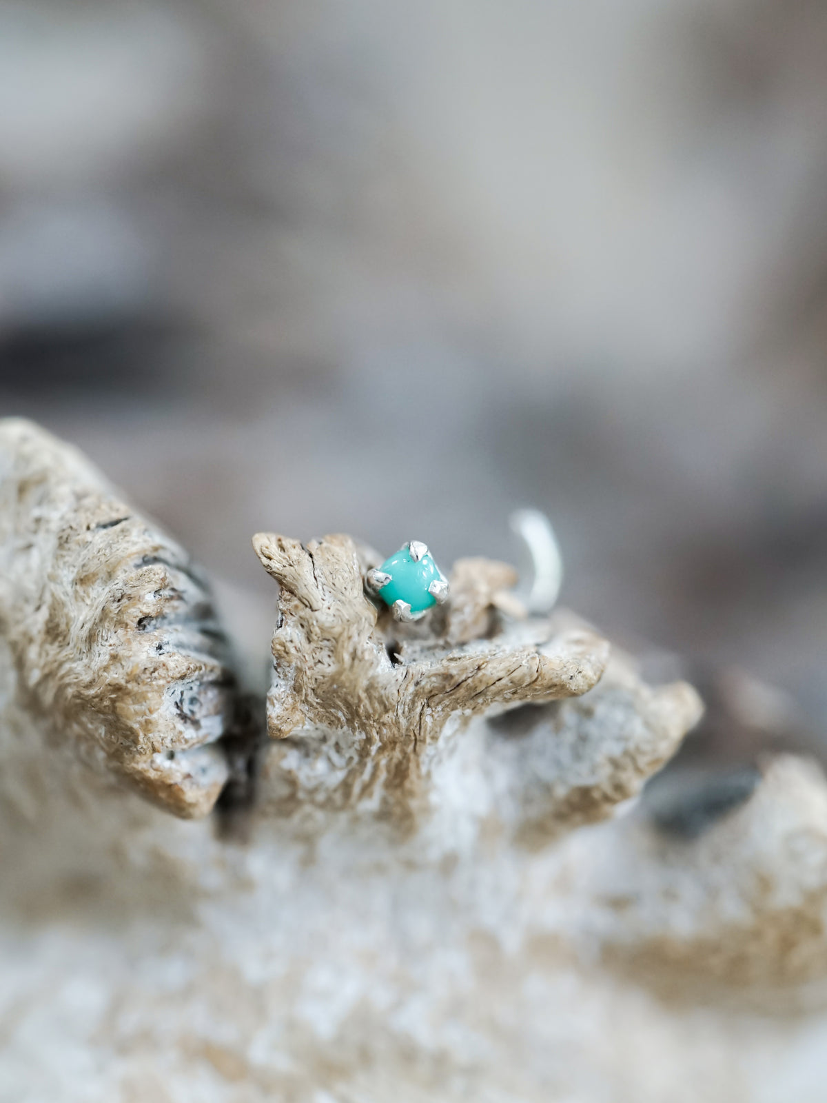 Turquoise Tragus Stud Earring - Gardens of the Sun | Ethical Jewelry