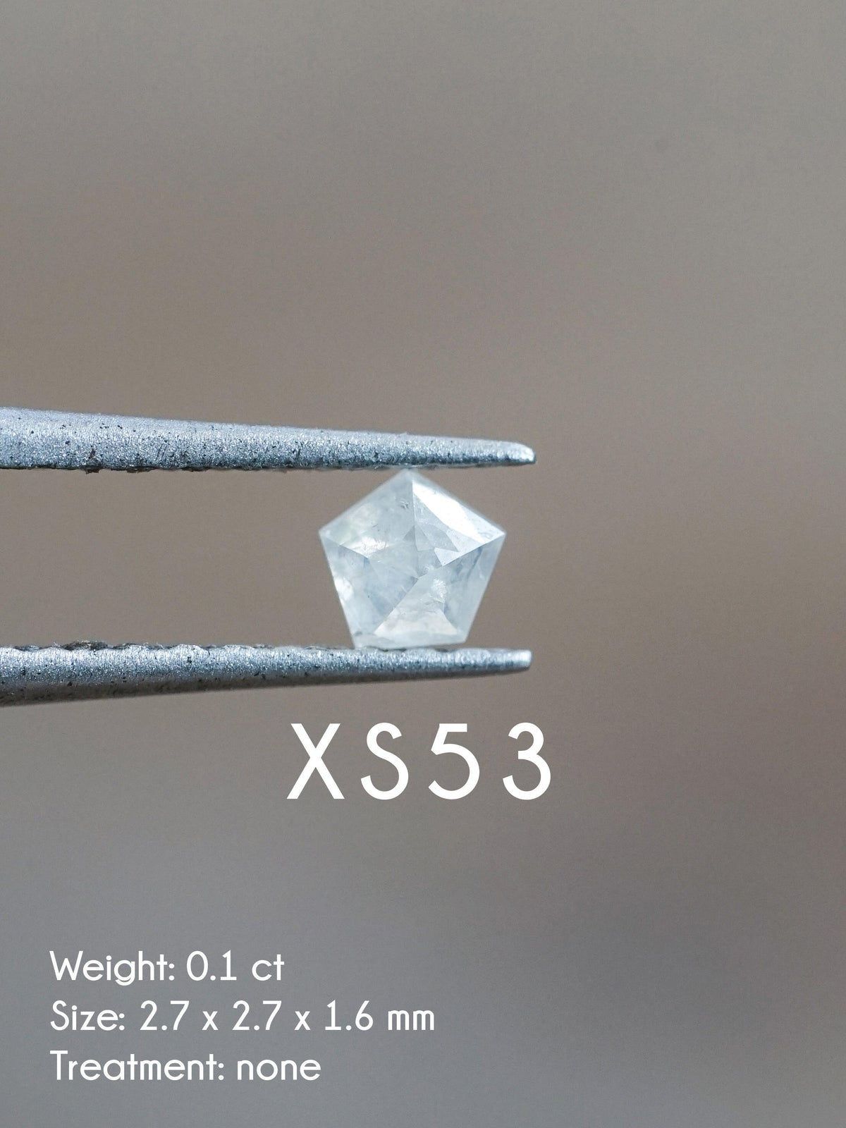 Custom Small Diamond Ring in Silver - Gardens of the Sun | Ethical Jewelry