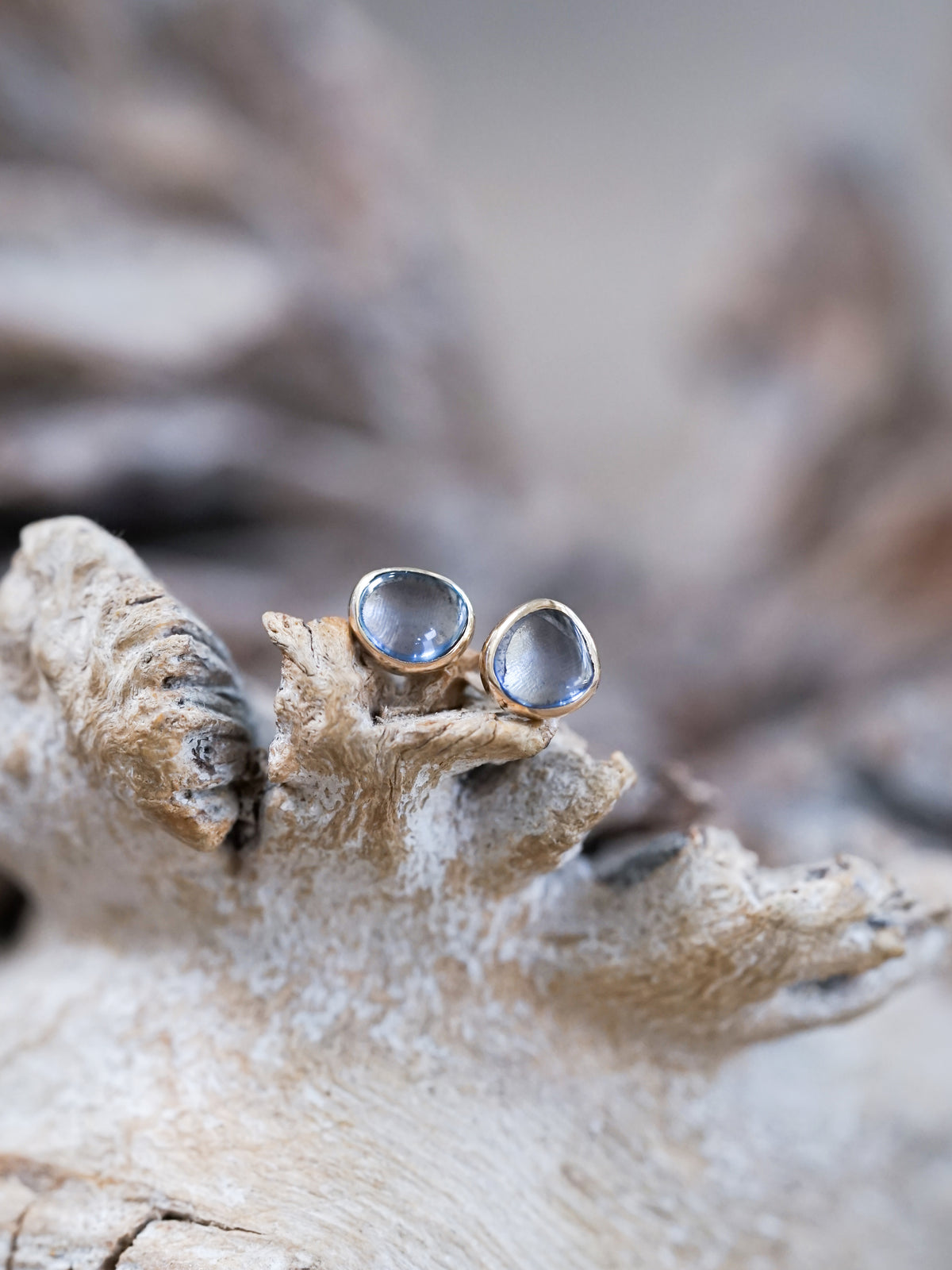 Yogo Sapphire Earrings in Ethical Gold - Gardens of the Sun | Ethical Jewelry