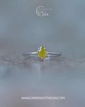 Yellow Pear Diamond Ring in White Gold