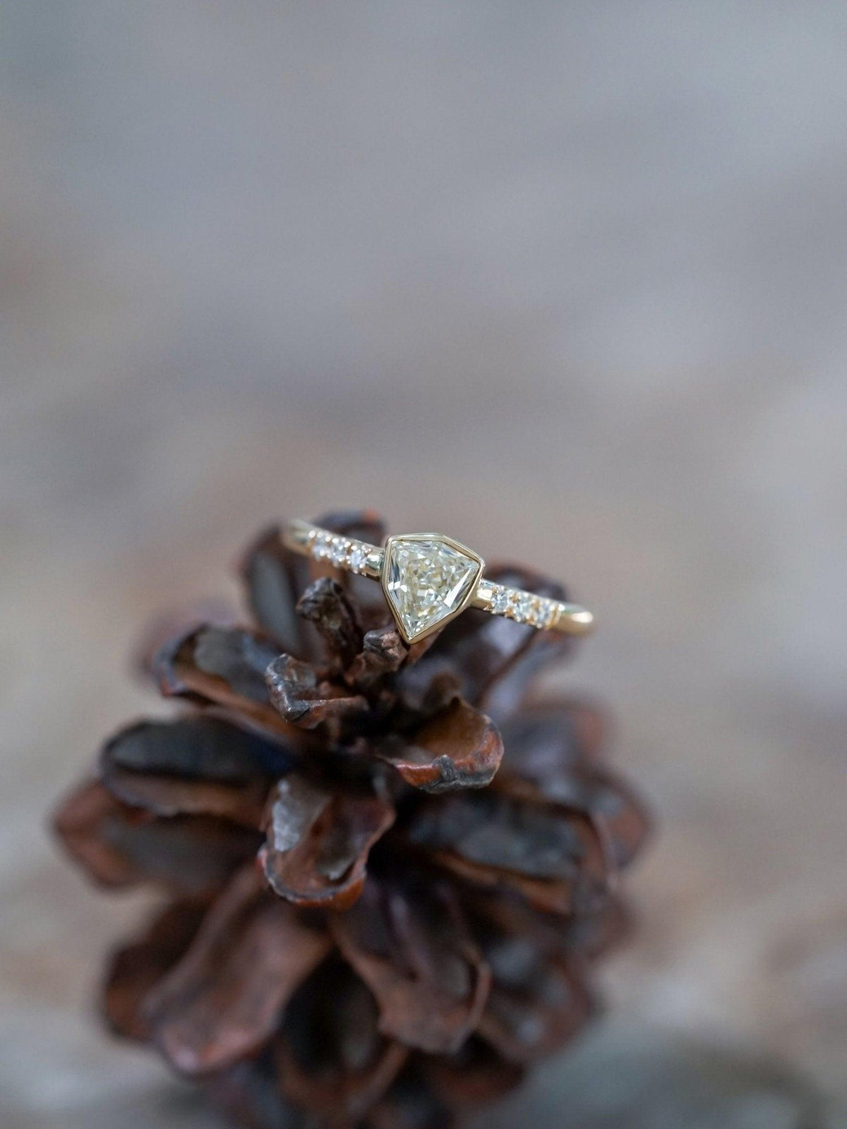 Borneo Shield Diamond Ring in Yellow Gold - Gardens of the Sun | Ethical Jewelry